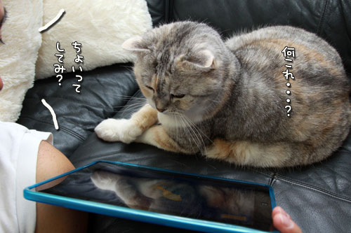 iPad初体験!_d0355333_12554414.jpg