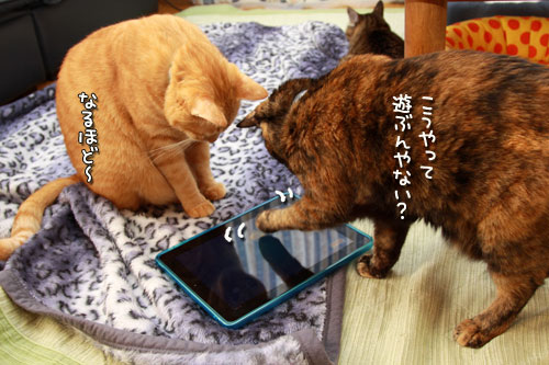 iPadの正しい使い方?_d0355333_12554735.jpg