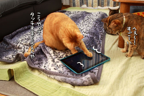 iPadの正しい使い方?_d0355333_12554846.jpg
