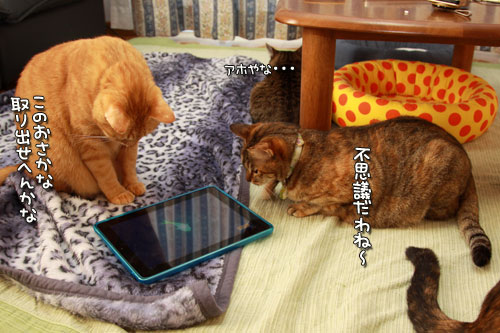 裏側が気になる_d0355333_12555158.jpg