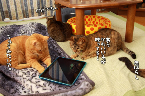 裏側が気になる_d0355333_12555167.jpg