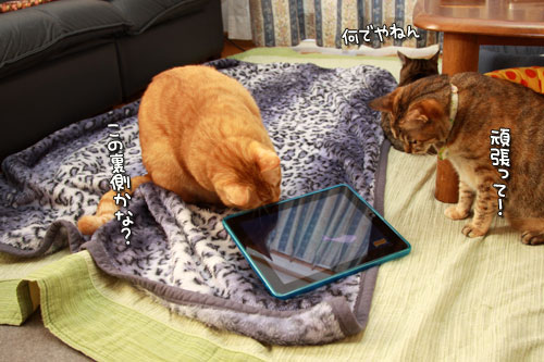 裏側が気になる_d0355333_12555193.jpg