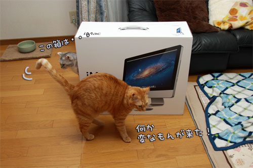 iMacがやってきた!_d0355333_12555298.jpg