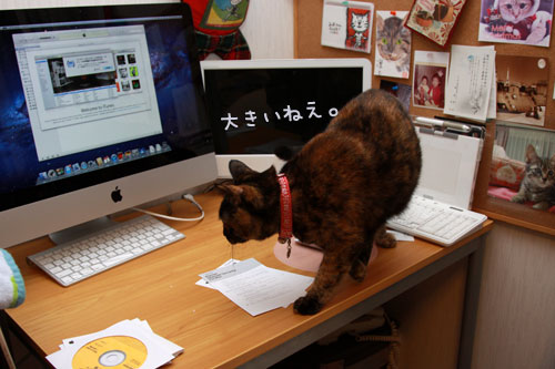 iMacがやってきた!_d0355333_12555355.jpg