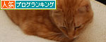 iMacがやってきた!_d0355333_12555465.jpg