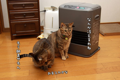 ファンヒーターはじめました_d0355333_12555474.jpg