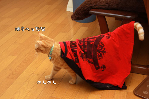 似合うやん?_d0355333_12555616.jpg