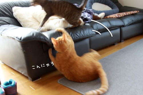 からみたくなる_d0355333_12560481.jpg