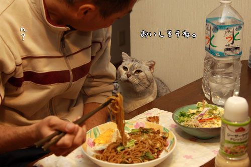 見つめる目が痛い_d0355333_12561174.jpg