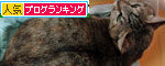 ララちゃん病院へ行く_d0355333_12561331.jpg
