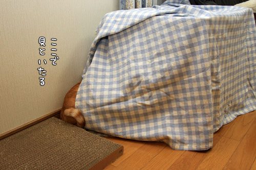 心配でたまらない?_d0355333_12561345.jpg