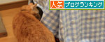 心配でたまらない?_d0355333_12561479.jpg