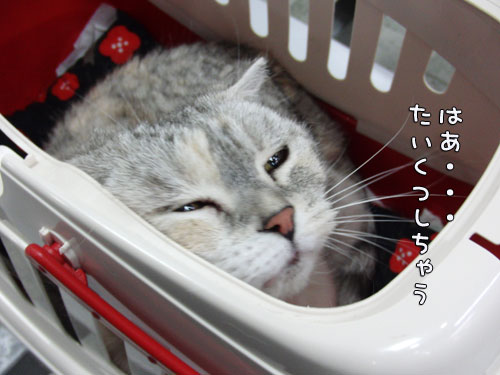 毎年恒例の健康診断_d0355333_12561607.jpg
