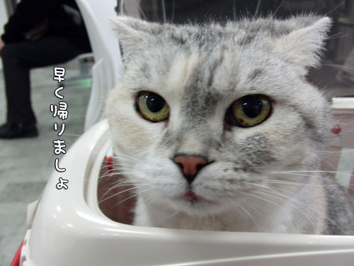 毎年恒例の健康診断_d0355333_12561668.jpg
