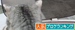 毎年恒例の健康診断_d0355333_12561824.jpg