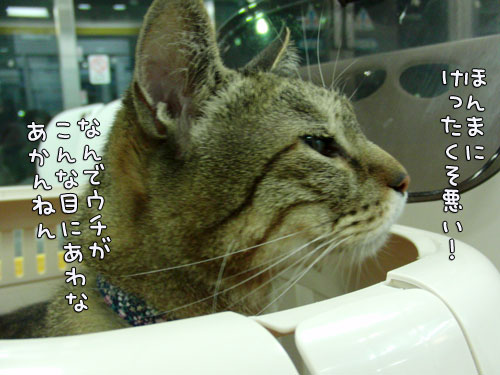 歯石とり体験_d0355333_12562272.jpg