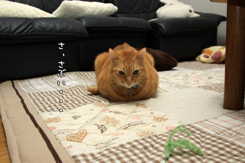 手も足も_d0355333_12562647.jpg