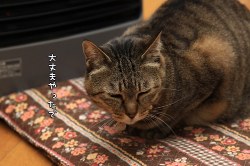 1年のおわりに_d0355333_12562831.jpg