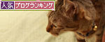 かっくいい?_d0355333_14550342.jpg