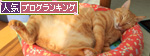 今年もよろしくお願いいたします_d0355333_14550510.jpg