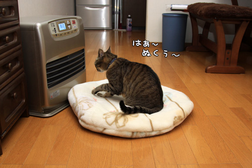 新しいファンヒーター_d0355333_14550895.jpg
