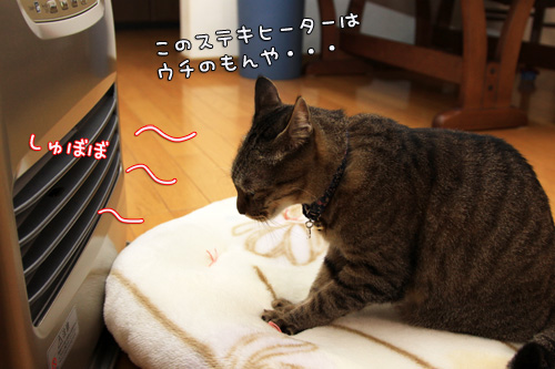 新しいファンヒーター_d0355333_14550959.jpg