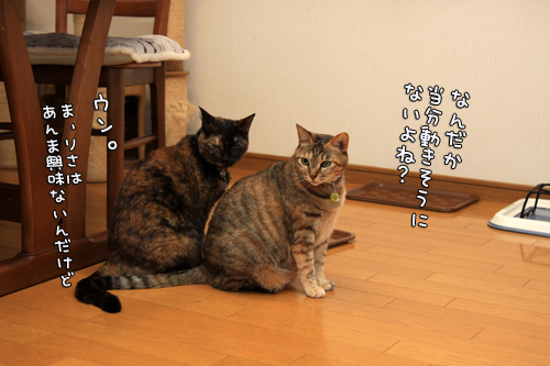 新しいファンヒーター_d0355333_14550982.jpg