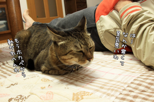笑子たんのきまぐれ_d0355333_14551758.jpg