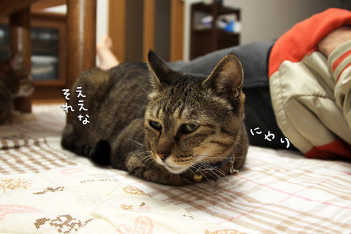 笑子たんのきまぐれ_d0355333_14551773.jpg