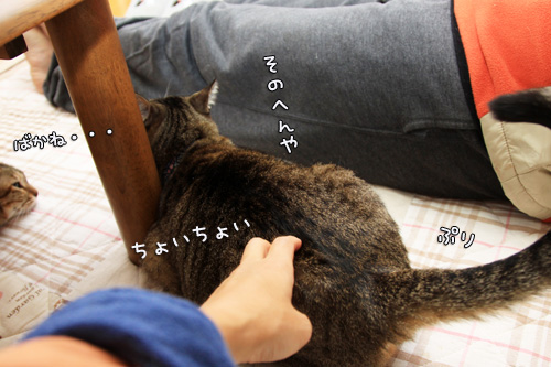 笑子たんのきまぐれ_d0355333_14551782.jpg