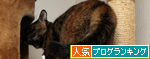 誰に似たの?_d0355333_14552056.jpg