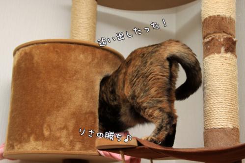 誰に似たの?_d0355333_14552076.jpg