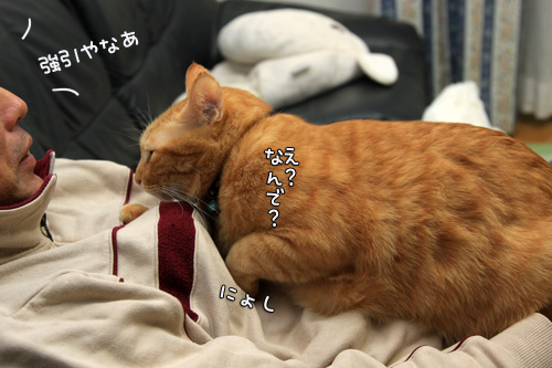 天然アタックにたじたじ_d0355333_14552110.jpg