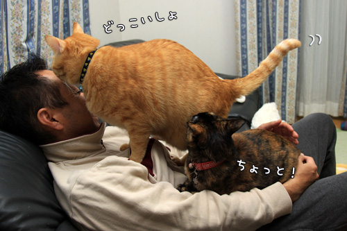 天然アタックにたじたじ_d0355333_14552173.jpg
