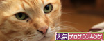 天然アタックにたじたじ_d0355333_14552176.jpg