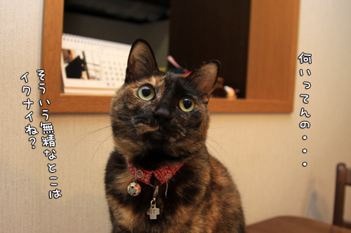 ころりんカレンダーでダメ出し。_d0355333_14552331.jpg