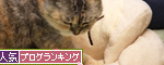無駄ではないはず_d0355333_14552520.jpg