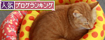 ぜいたくねこ_d0355333_14552649.jpg