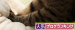 笑子たんのわかりやすさ_d0355333_14552702.jpg