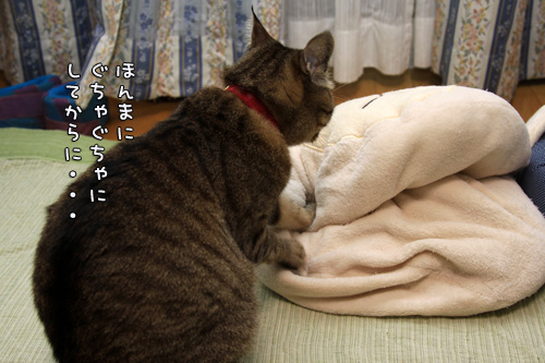 笑子たんのわかりやすさ_d0355333_14552717.jpg