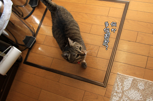 お味噌汁を作るために_d0355333_14552724.jpg