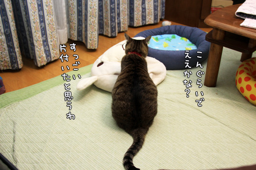 笑子たんのわかりやすさ_d0355333_14552765.jpg
