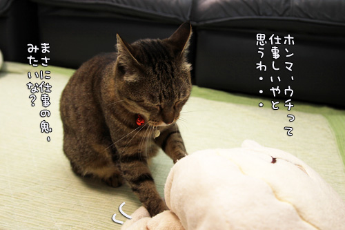 笑子たんのわかりやすさ_d0355333_14552770.jpg