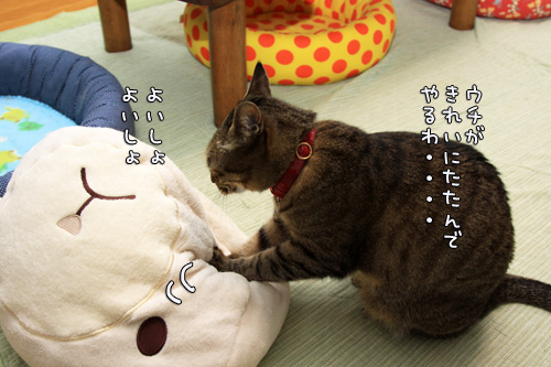 笑子たんのわかりやすさ_d0355333_14552775.jpg