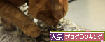 お味噌汁を作るために_d0355333_14552871.jpg