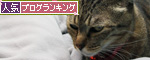 猫ルール遵守。_d0355333_14552984.jpg
