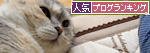 つい、期待してしまう_d0355333_14553321.jpg