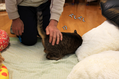 あとのフォローが大切_d0355333_14553362.jpg