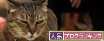 あとのフォローが大切_d0355333_14553404.jpg