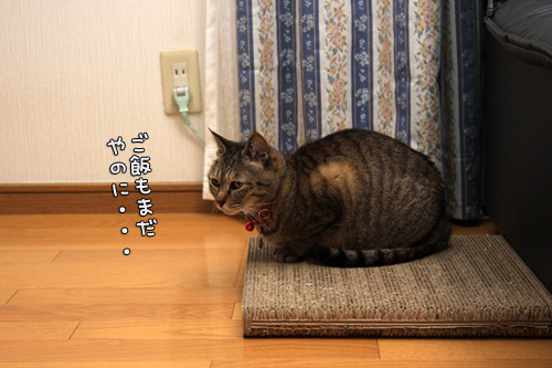 お掃除の虫は突然に。_d0355333_14553561.jpg